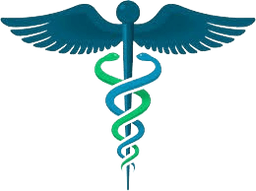 Partner Hospitals